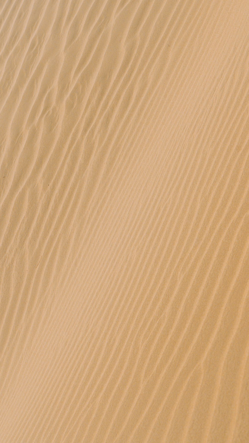 arena blanca con sombra de persona