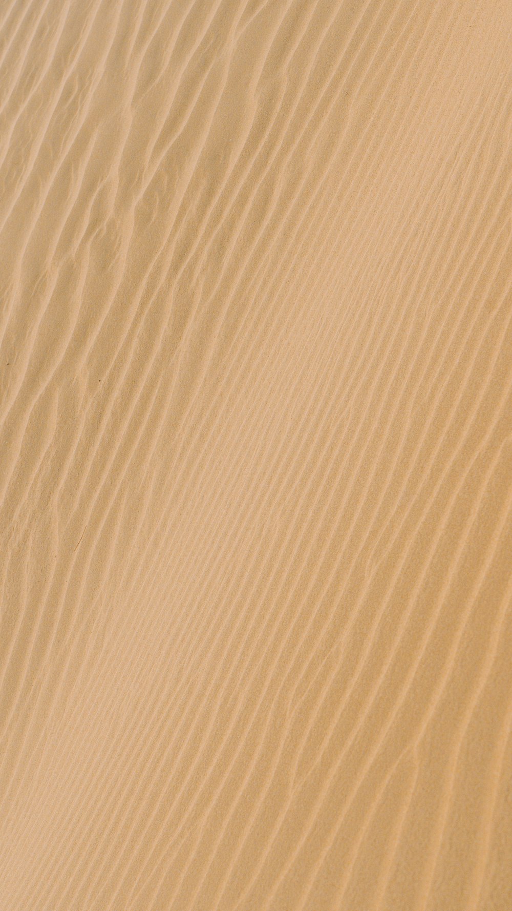 white sand with shadow of person