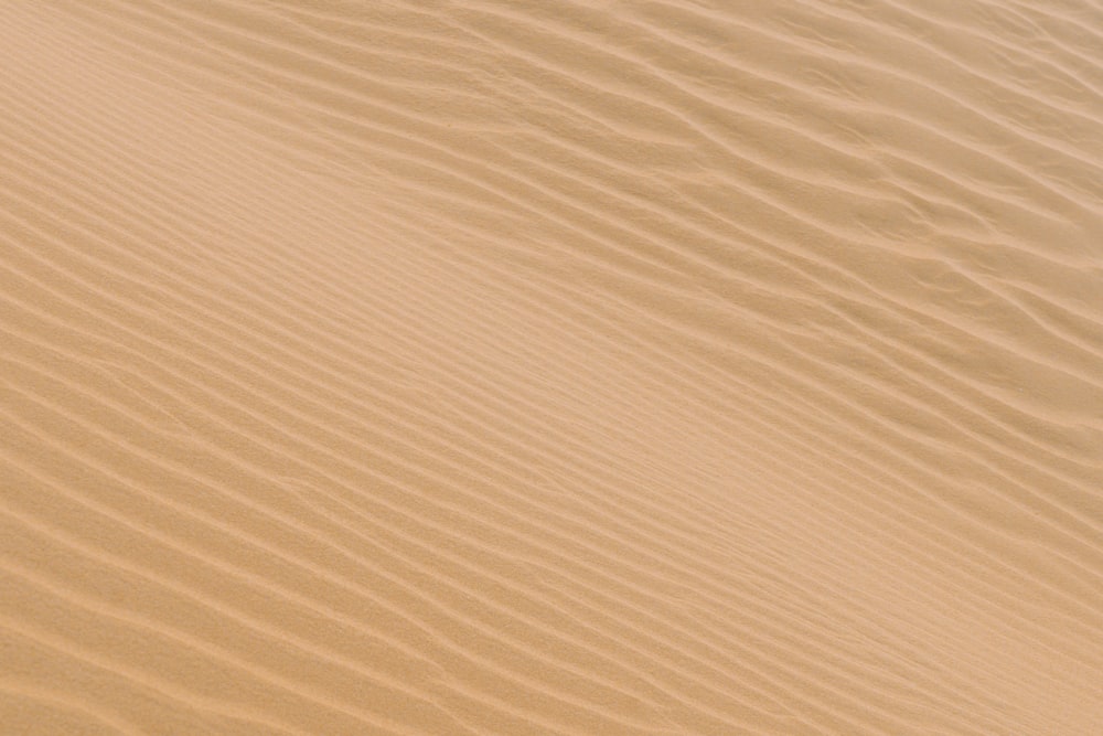 brown and white body of water