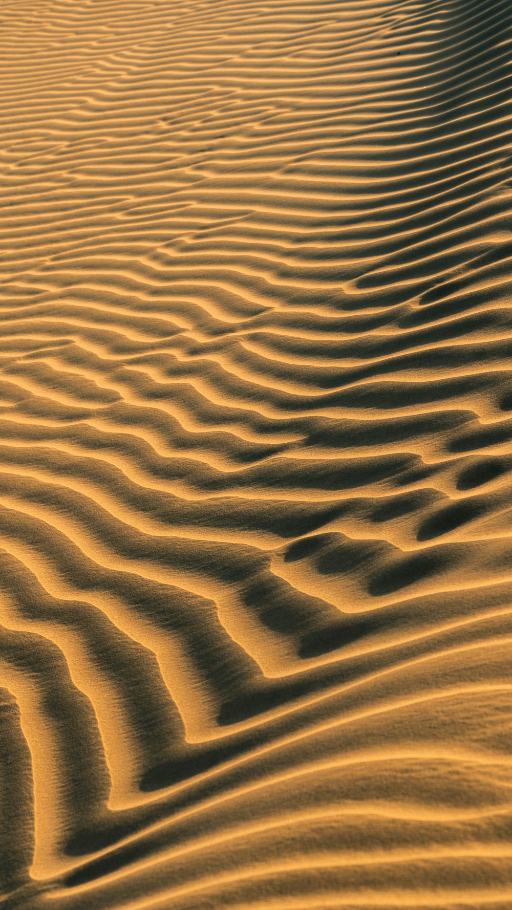 Dunes de sable brun pendant la journée