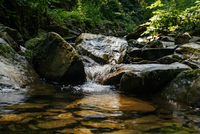 green moss on gray rocks in river