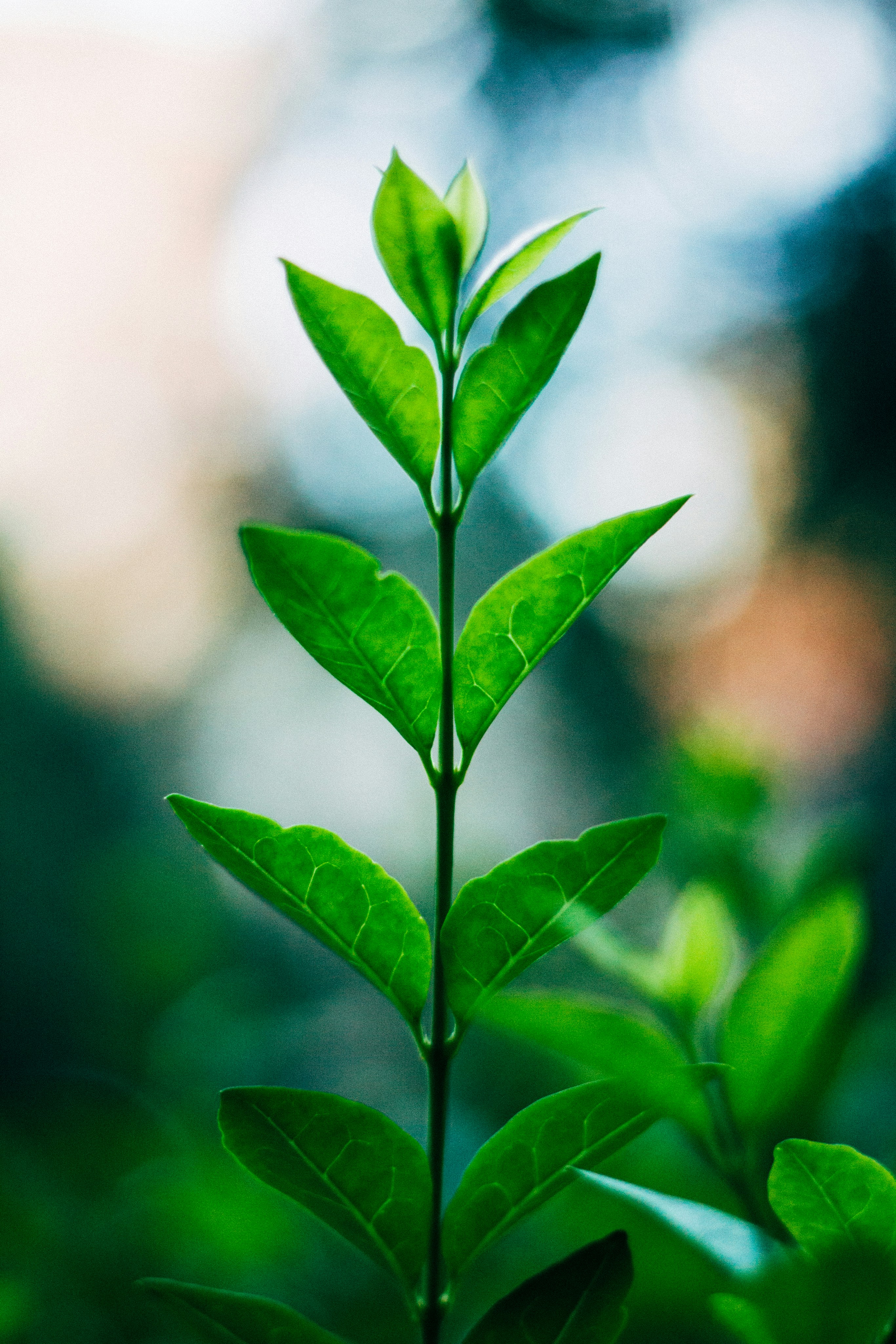 Photo by elimendeinagella