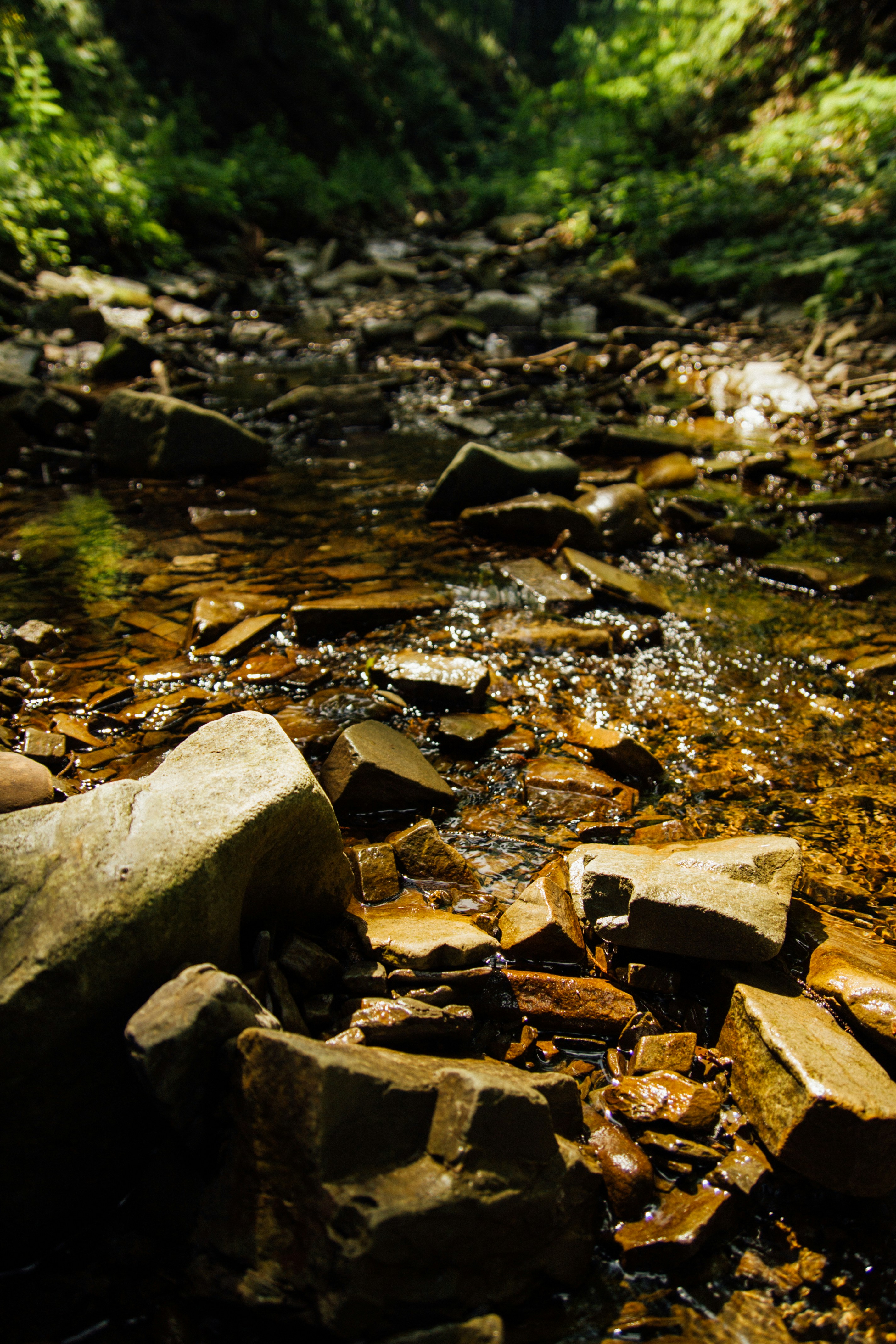 Photo by elimendeinagella