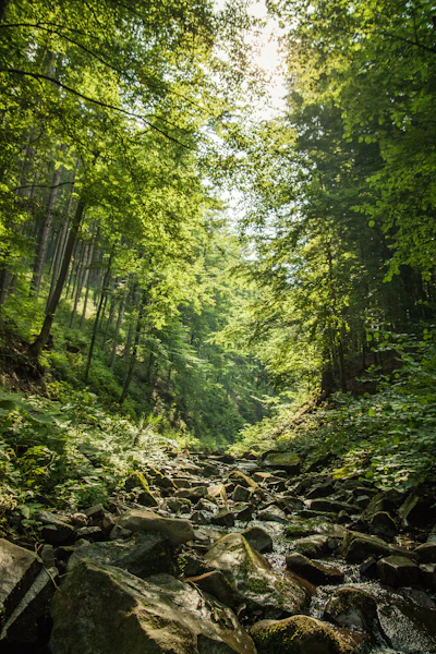 Placeholder Instagram-style photo of the creek