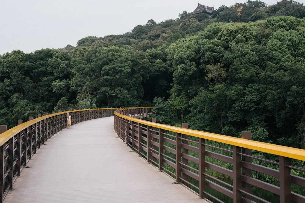 Braune Holzbrücke über grüne Bäume tagsüber