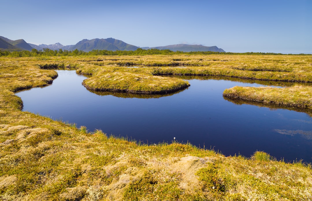 Nature reserve photo spot Andøya Gryllefjord