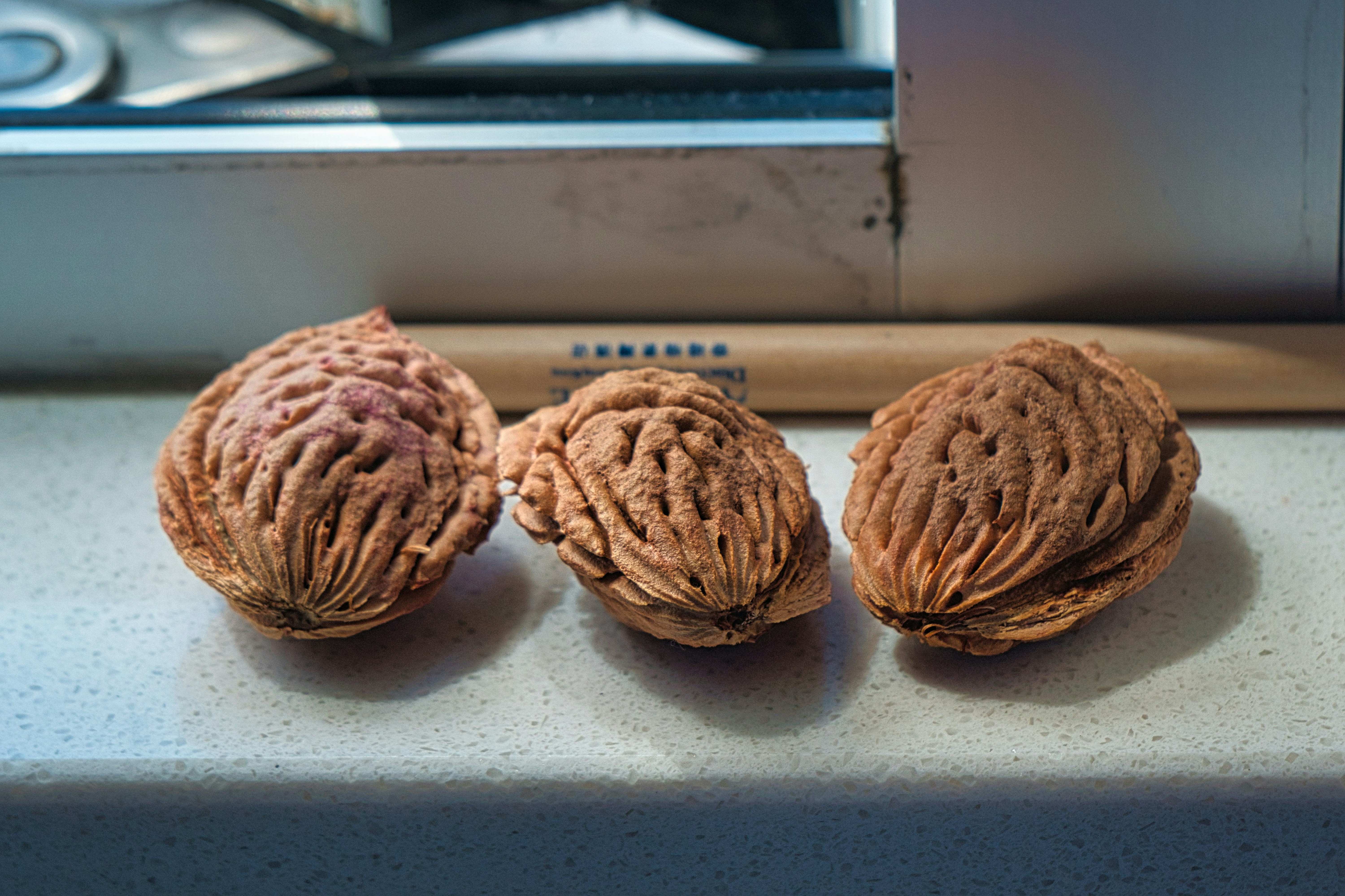 뇌과학이 밝혀낸 살 빠지는 마법, 7일 만에 몸이 달라지는 기적!