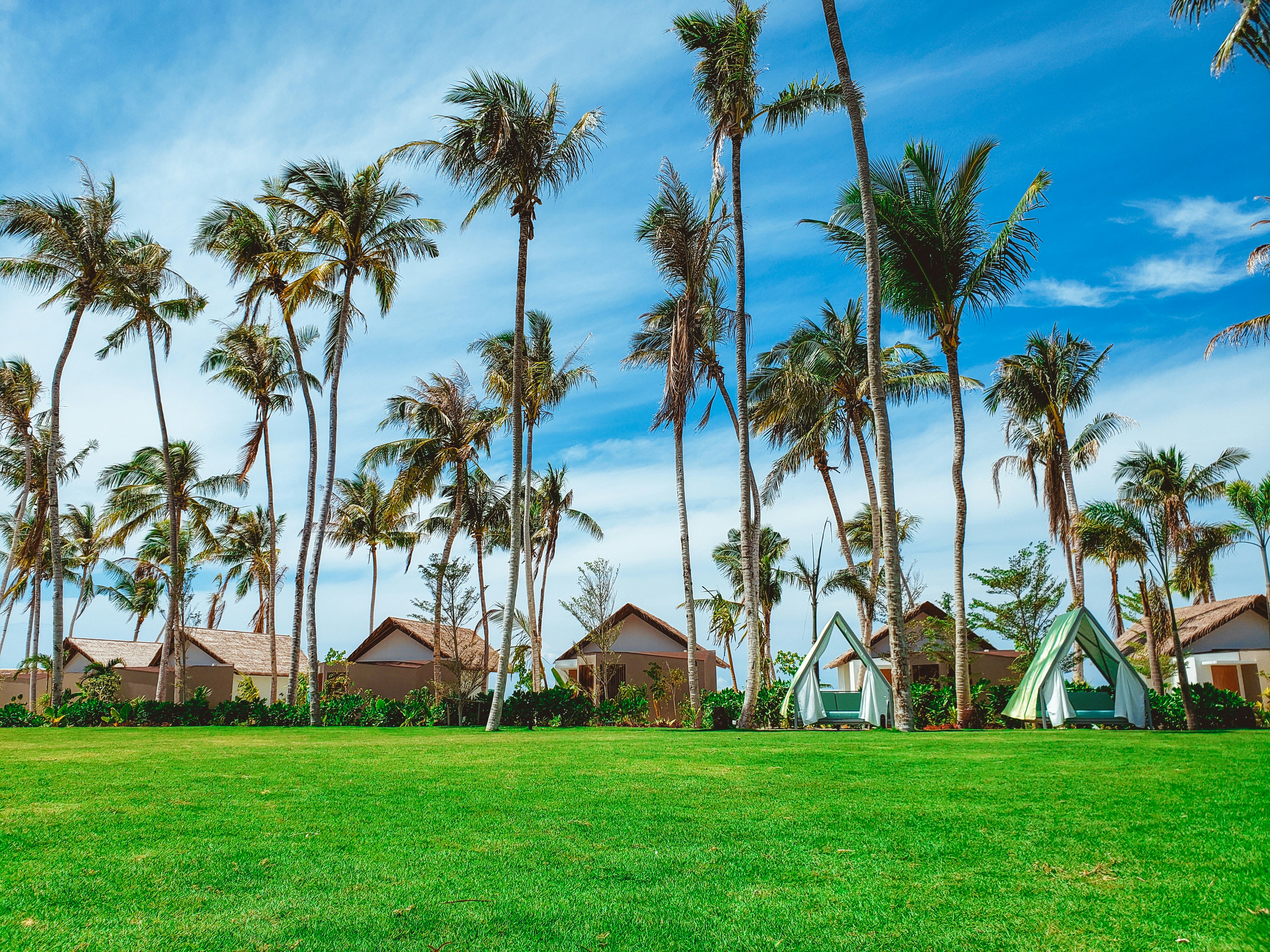 Photo by weweclub_wewe