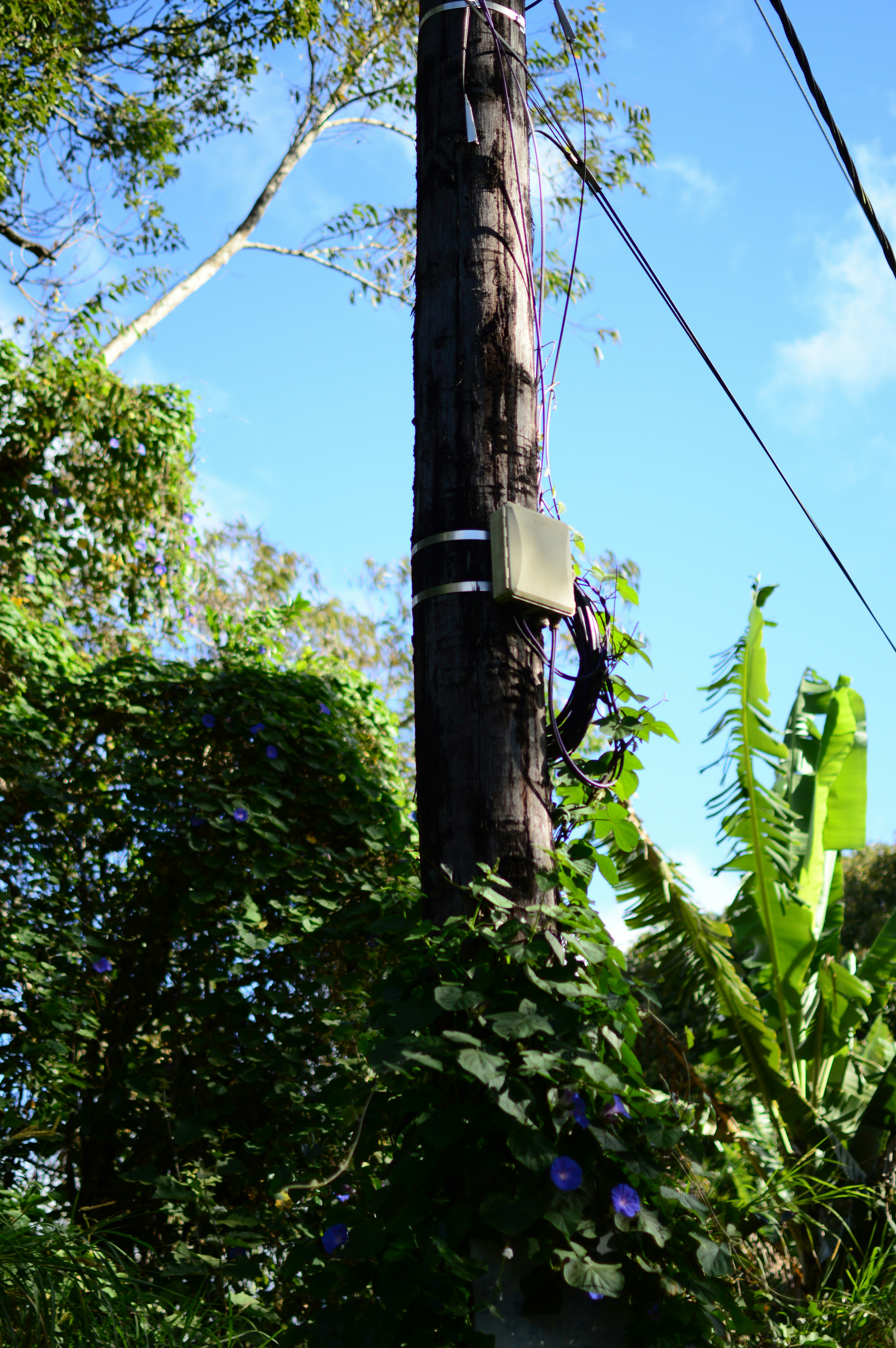 Photo by sabazioccivanza