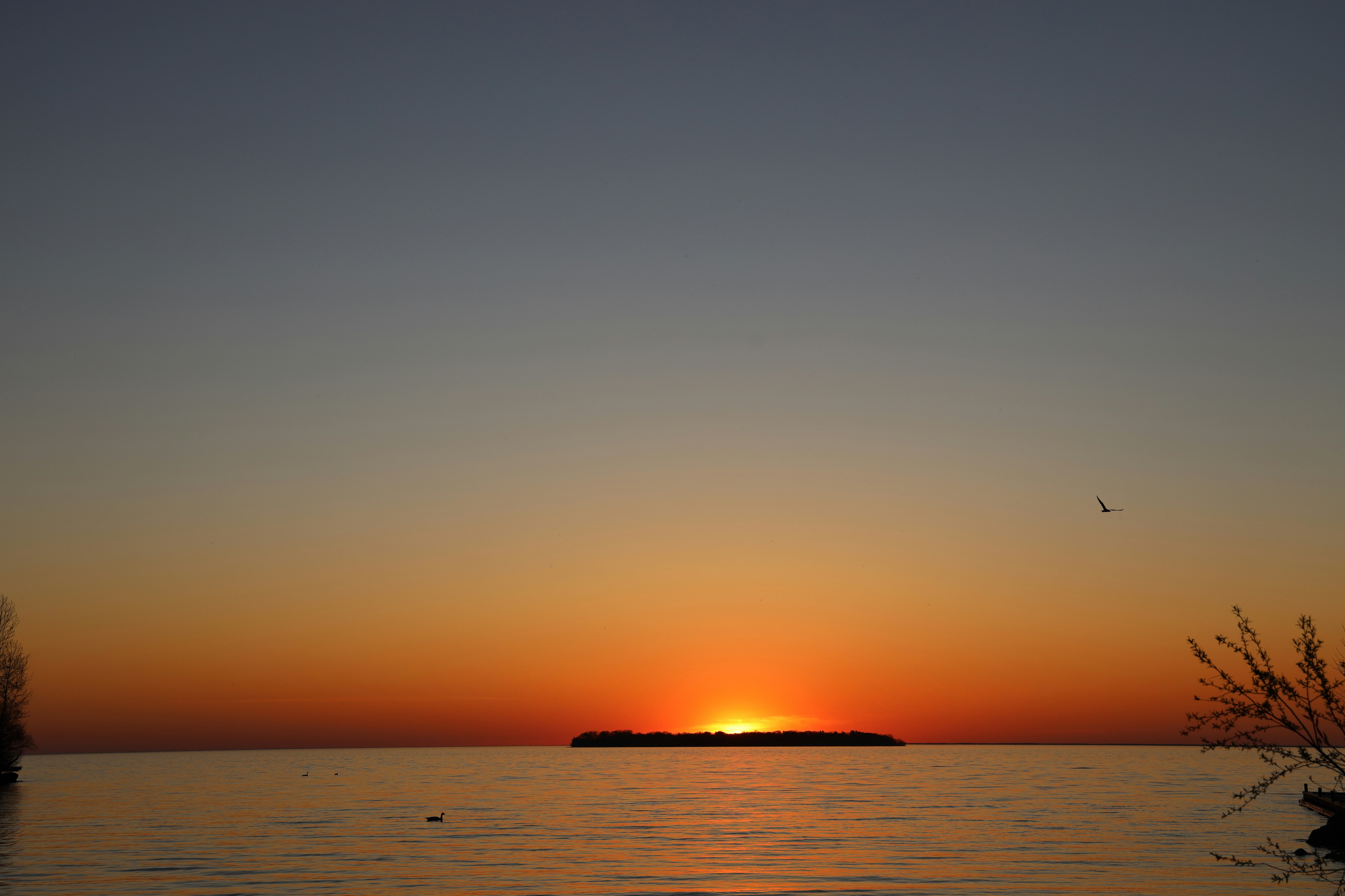 Photo by richardworks