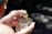 Hands gently hold a jar with cannabis buds, carefully selecting a piece from the container. The sunlight highlights the texture and details of the green and brown plant material, creating a natural and organic feel.