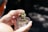 Hands gently hold a jar with cannabis buds, carefully selecting a piece from the container. The sunlight highlights the texture and details of the green and brown plant material, creating a natural and organic feel.