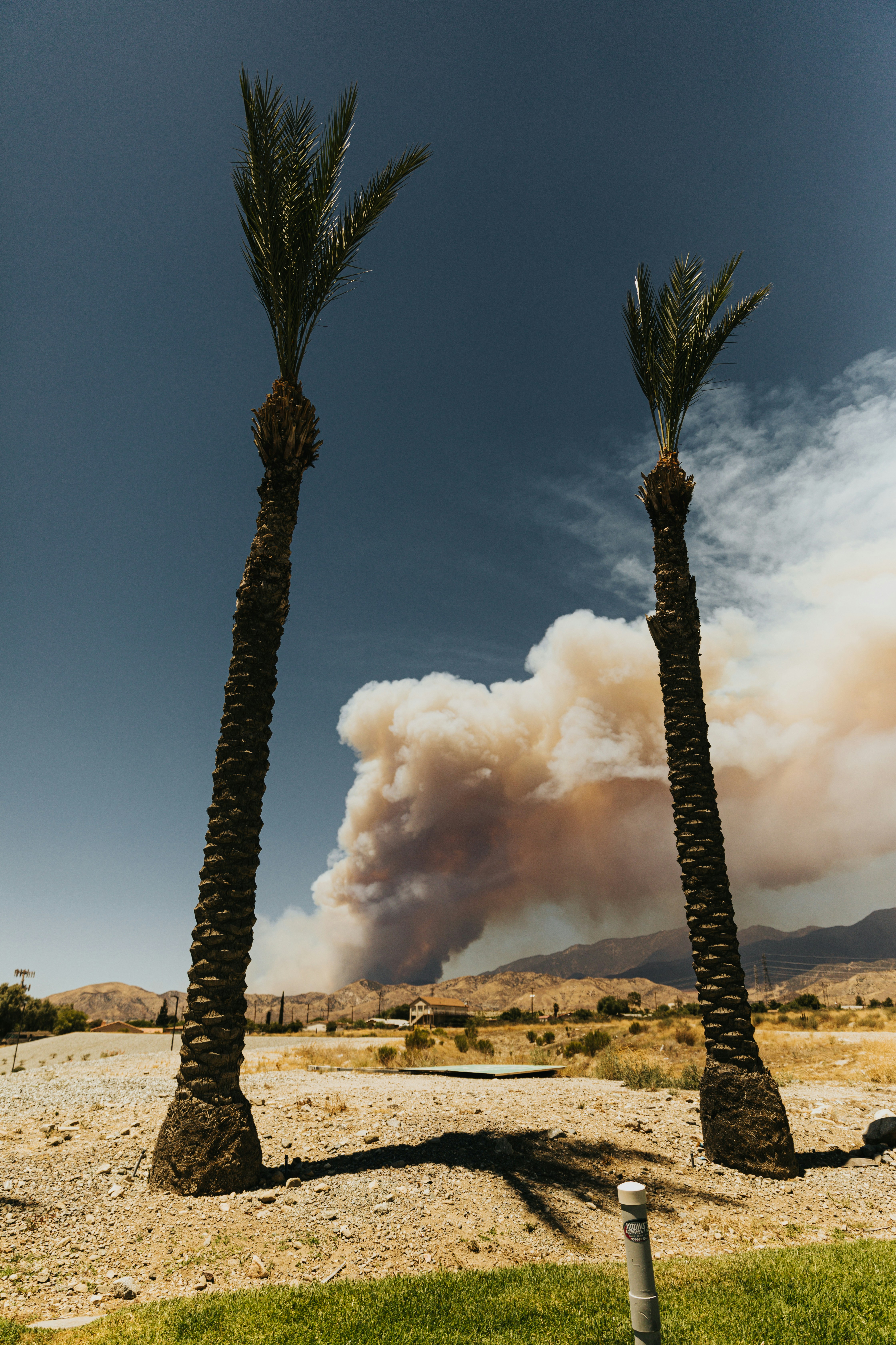 Photo by nate_dumlao