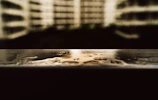 Close-up of a reflective wet surface after pressure washing, highlighting the dark and glossy finish.