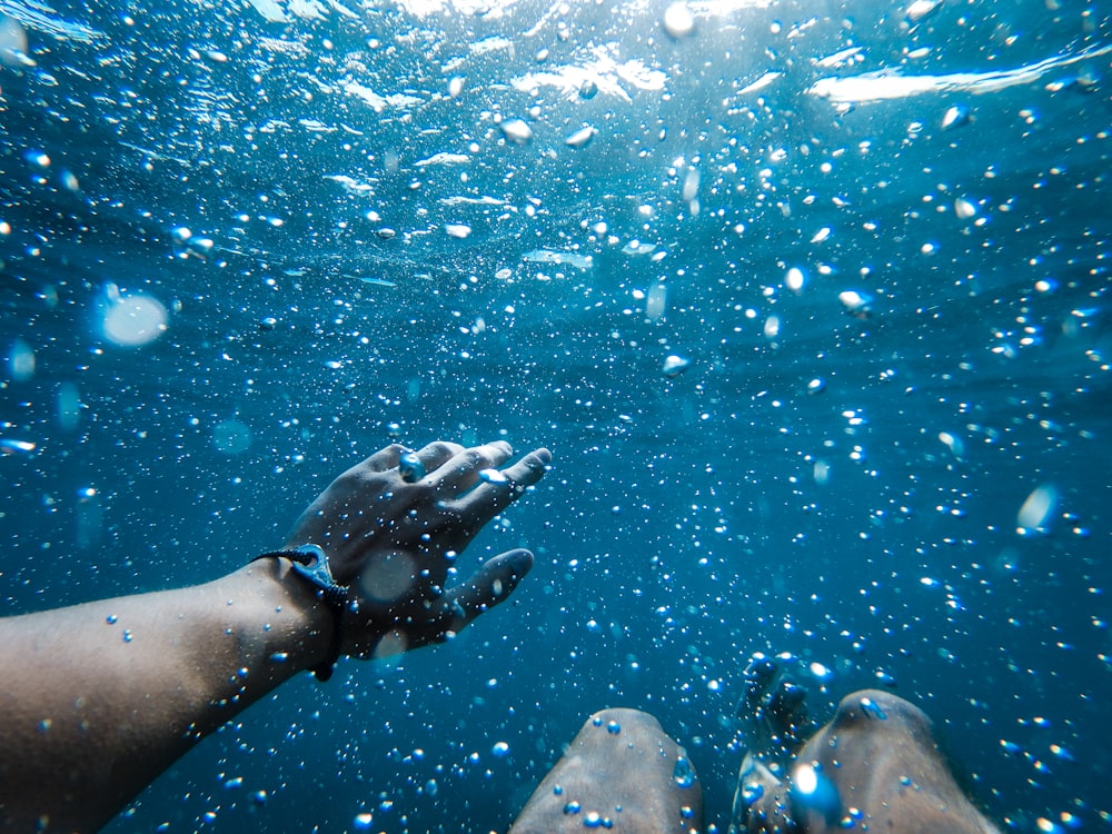 person in water with school of fish