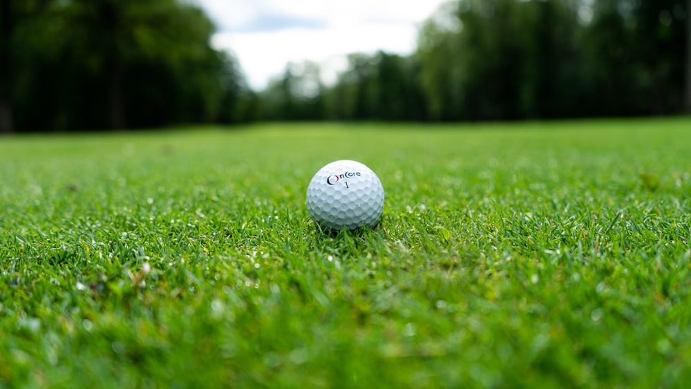 낮 동안 푸른 잔디 필드에 흰색 골프 공