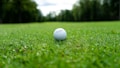 A white golf ball sits in the middle of a lush, green grassy field with trees and a slightly blurred background.