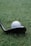 A close-up of a golf ball positioned on grass near the head of a golf club, with the text 'VERO X1' visible on the ball.