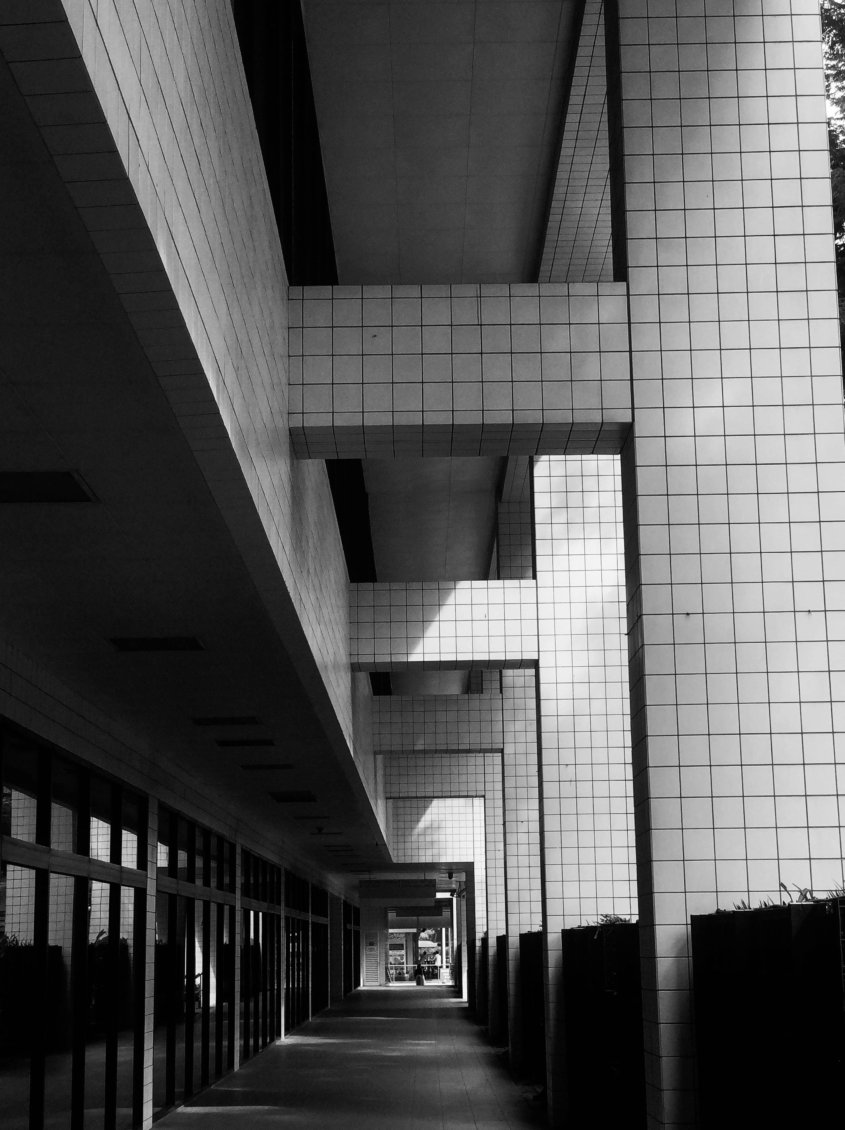 Photo by swaroop_oruganti