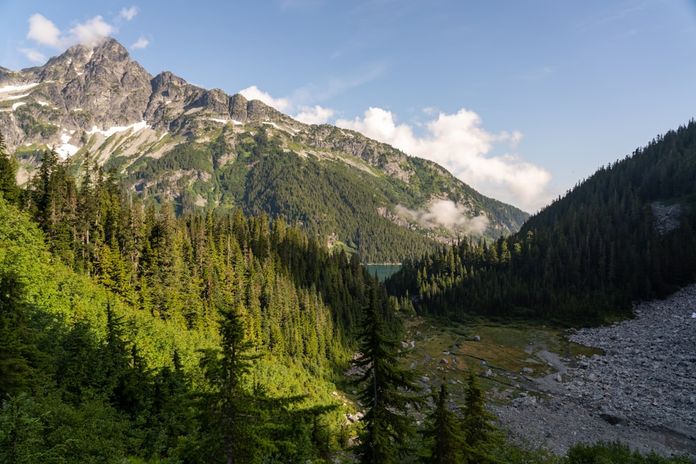 green trees near mountain under blue sky during daytime