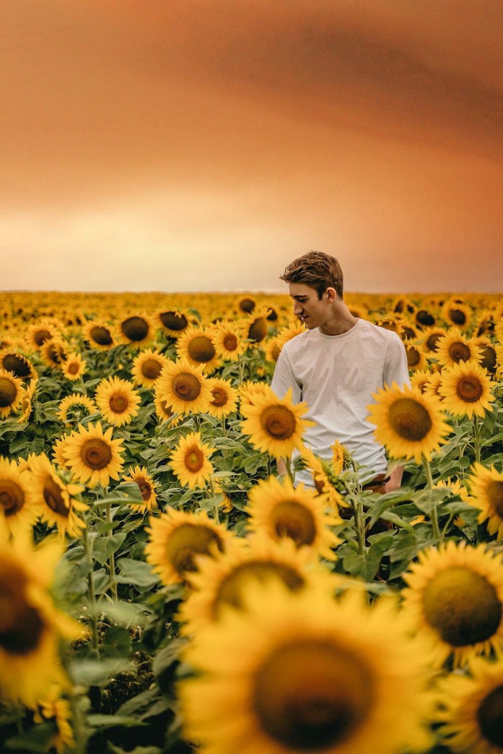 man in white dress shirt standing on sunflower field during daytime