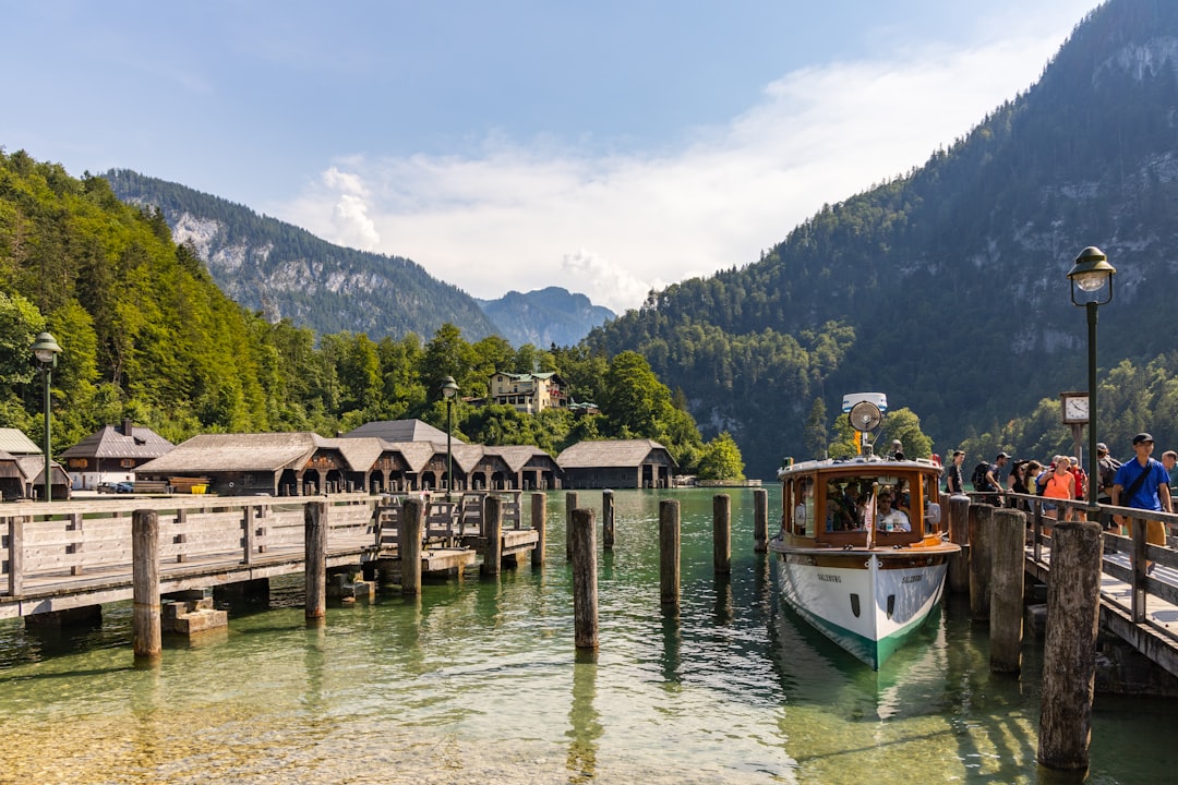 white and brown boat on water near green trees and mountain during daytime