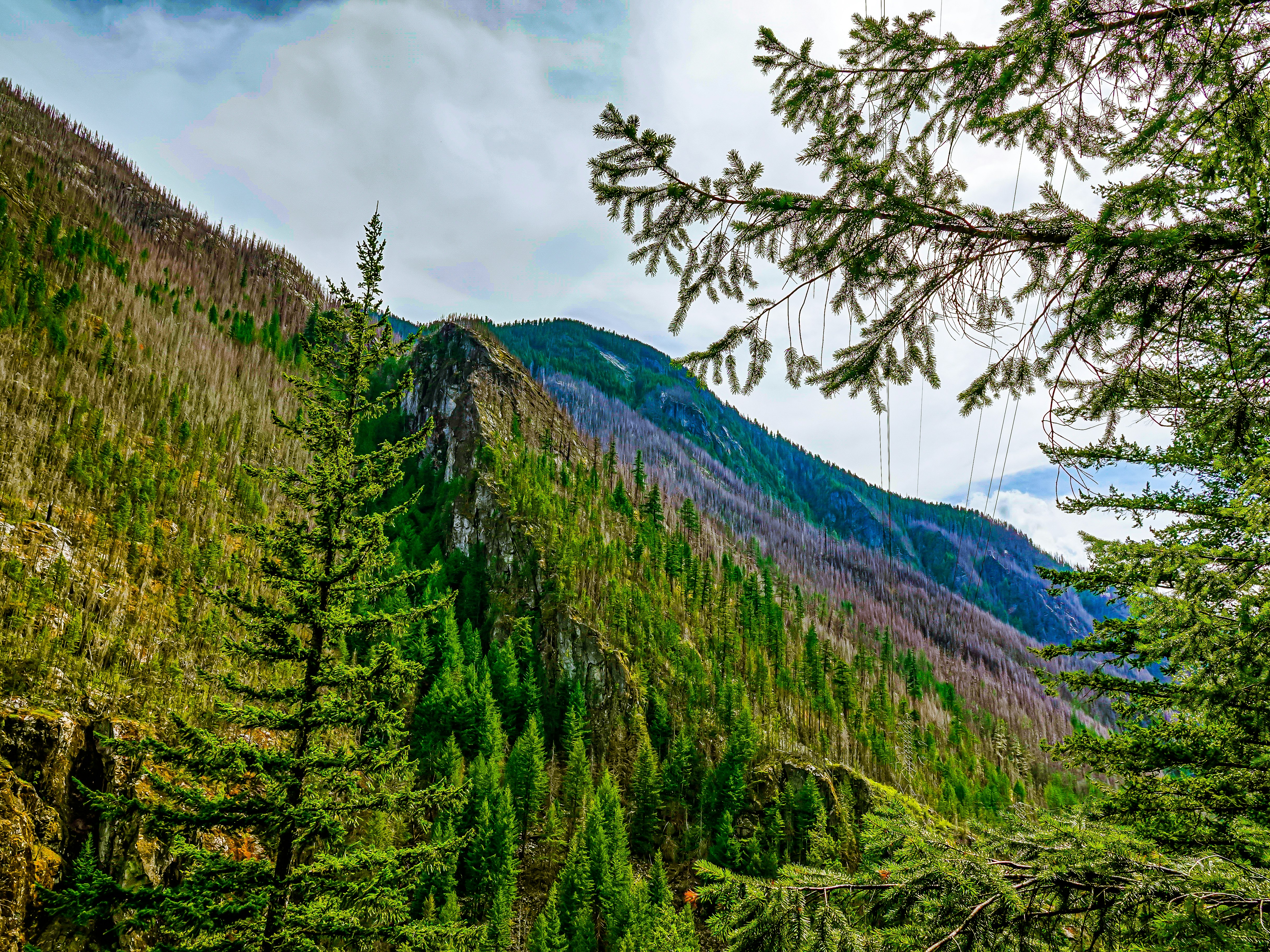 Photo by pavlpolo_official