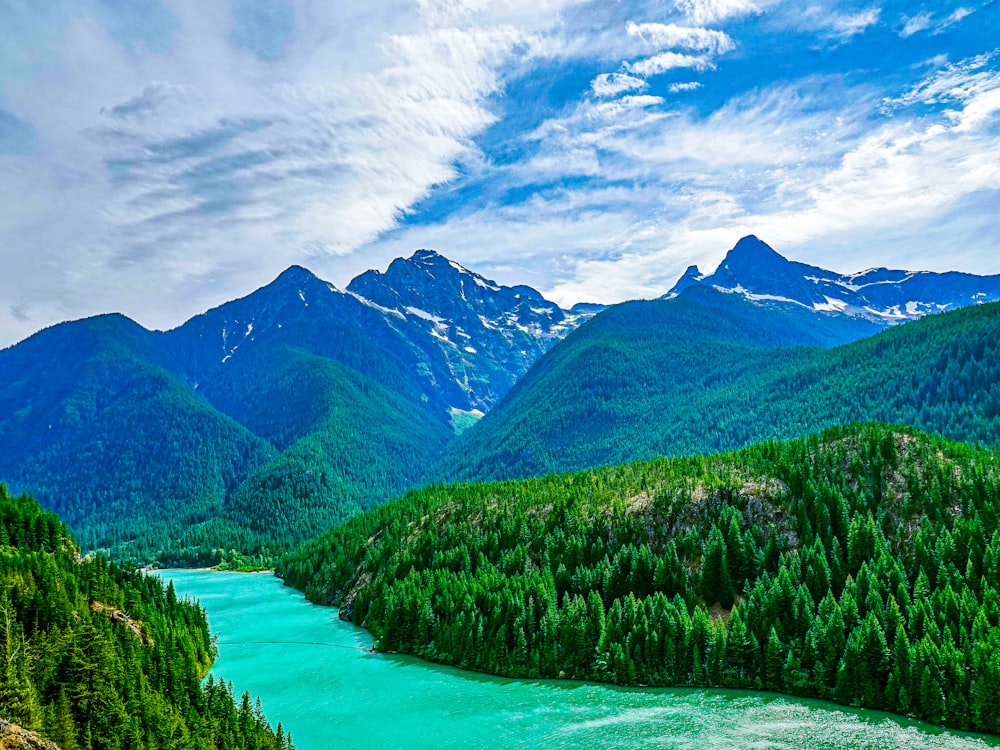 grüne Bäume in der Nähe von See und Bergen unter weißen Wolken und blauem Himmel tagsüber