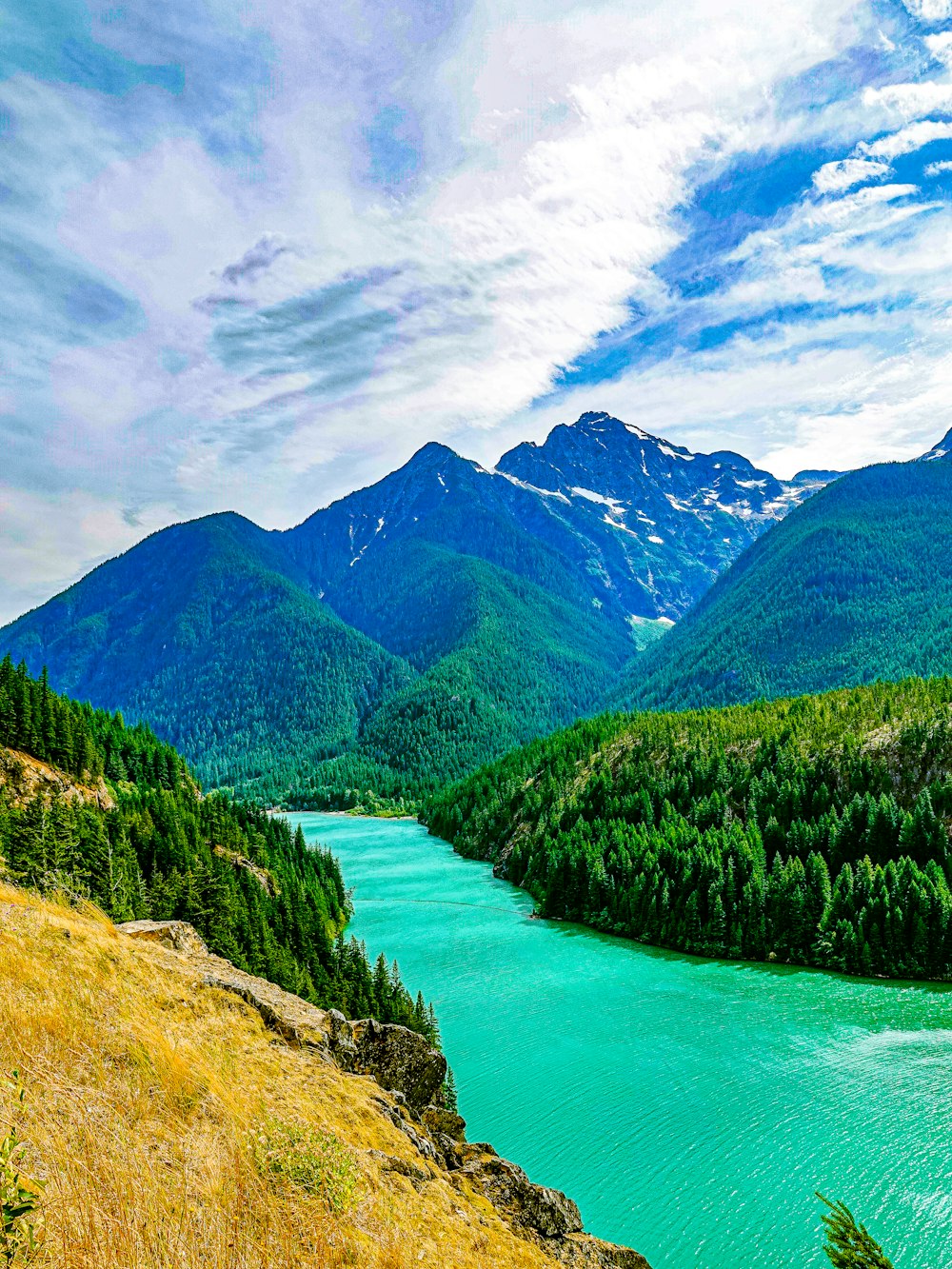 green trees on mountain under white clouds during daytime