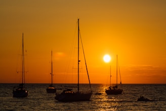 Sailboats glowing orange on Tampa Bay at sunset, viewed from the landing.