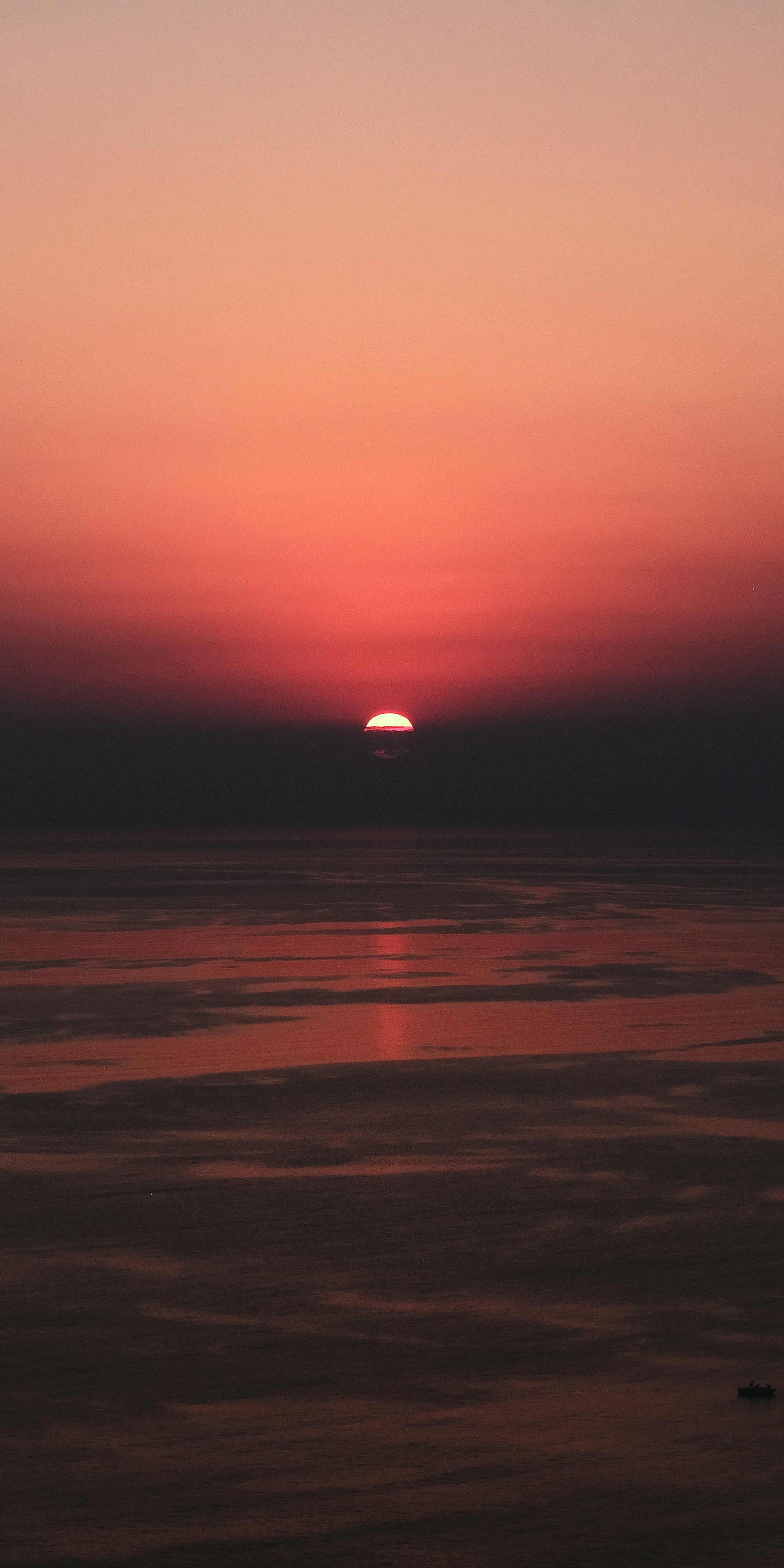 Photo by dpidhrushnyi