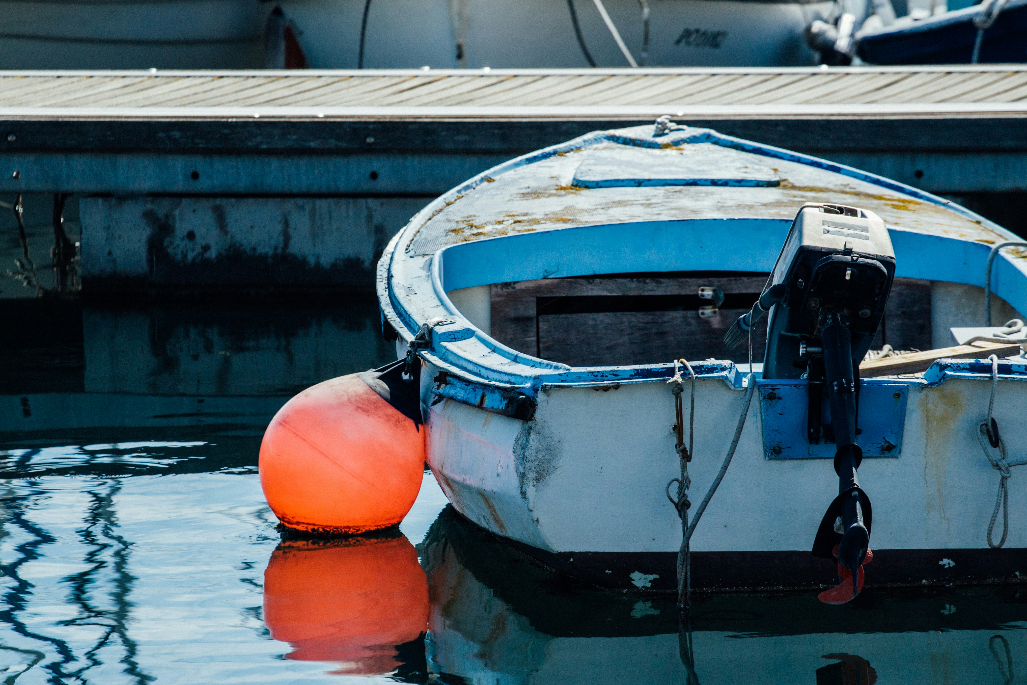 Photo by elimendeinagella