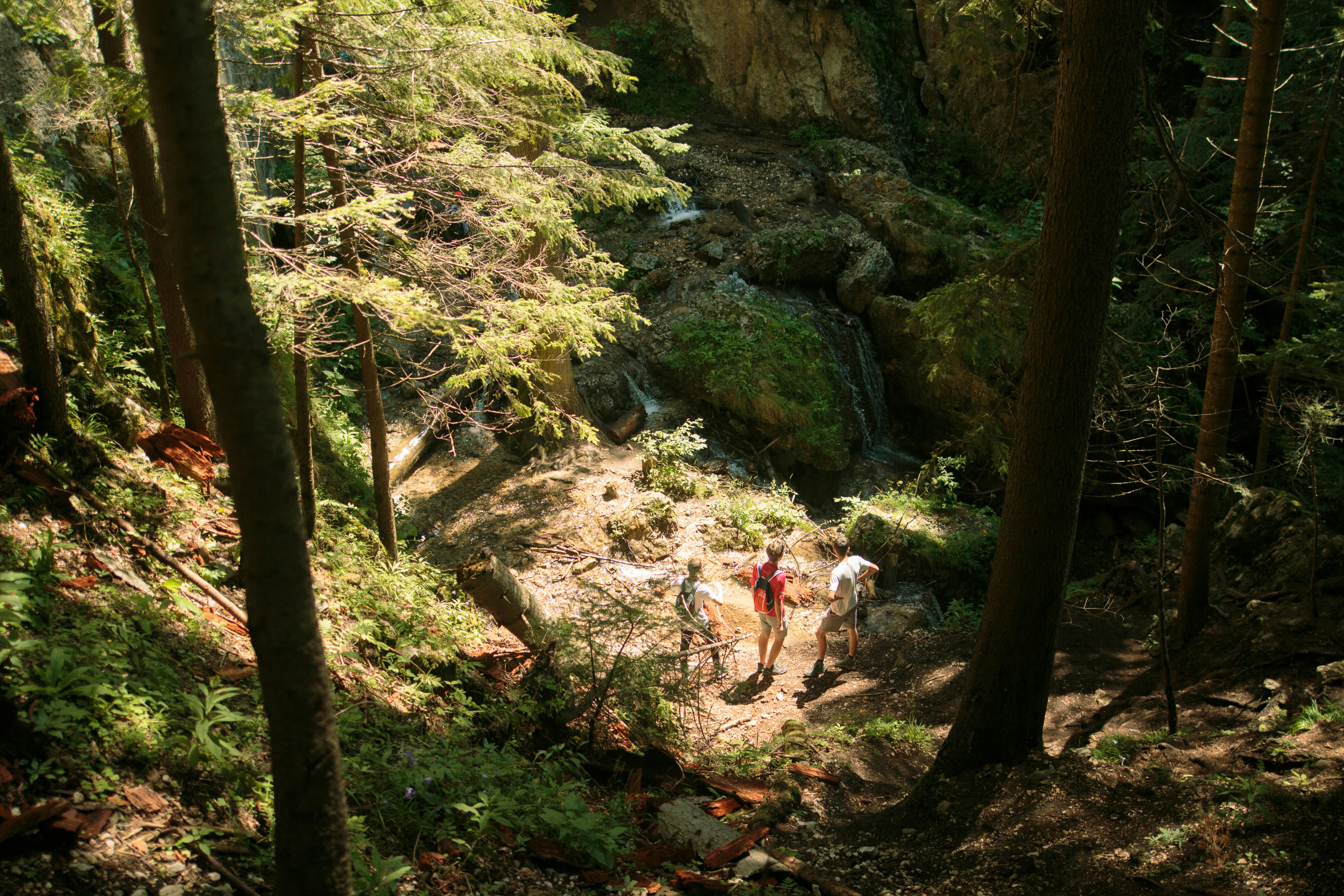 people walking on rocky road during daytime