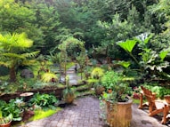 green plants on brown clay pots