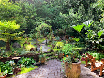 Terraza de departamento con jardineras — después