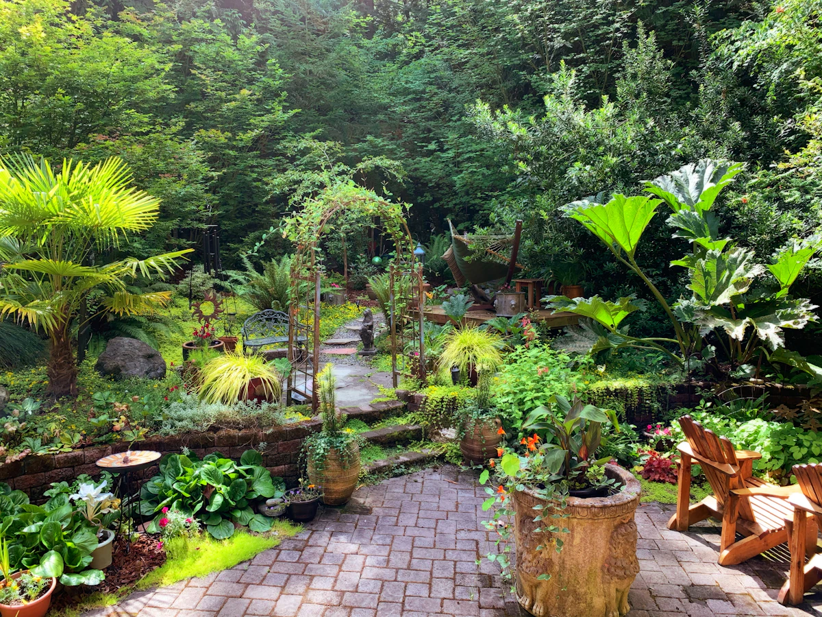 Lush potted garden plants basking in warm sunlight