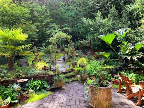 Residential backyard garden