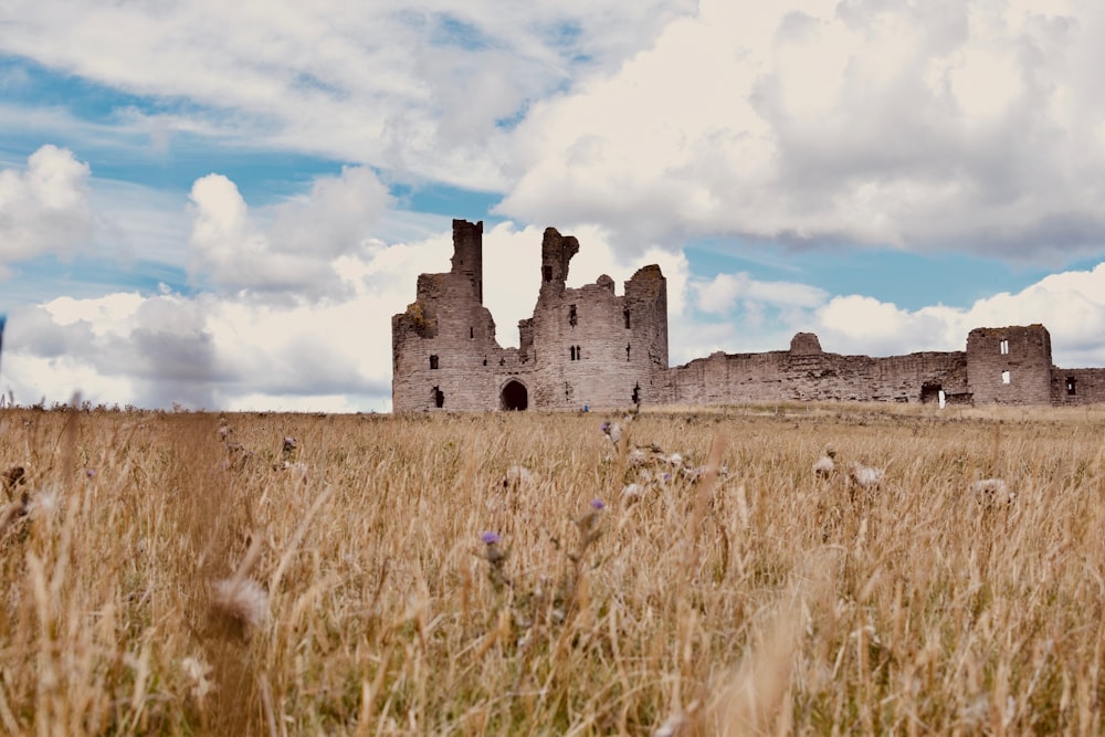 brown grass field near gray concrete castle under white clouds and blue sky during daytime