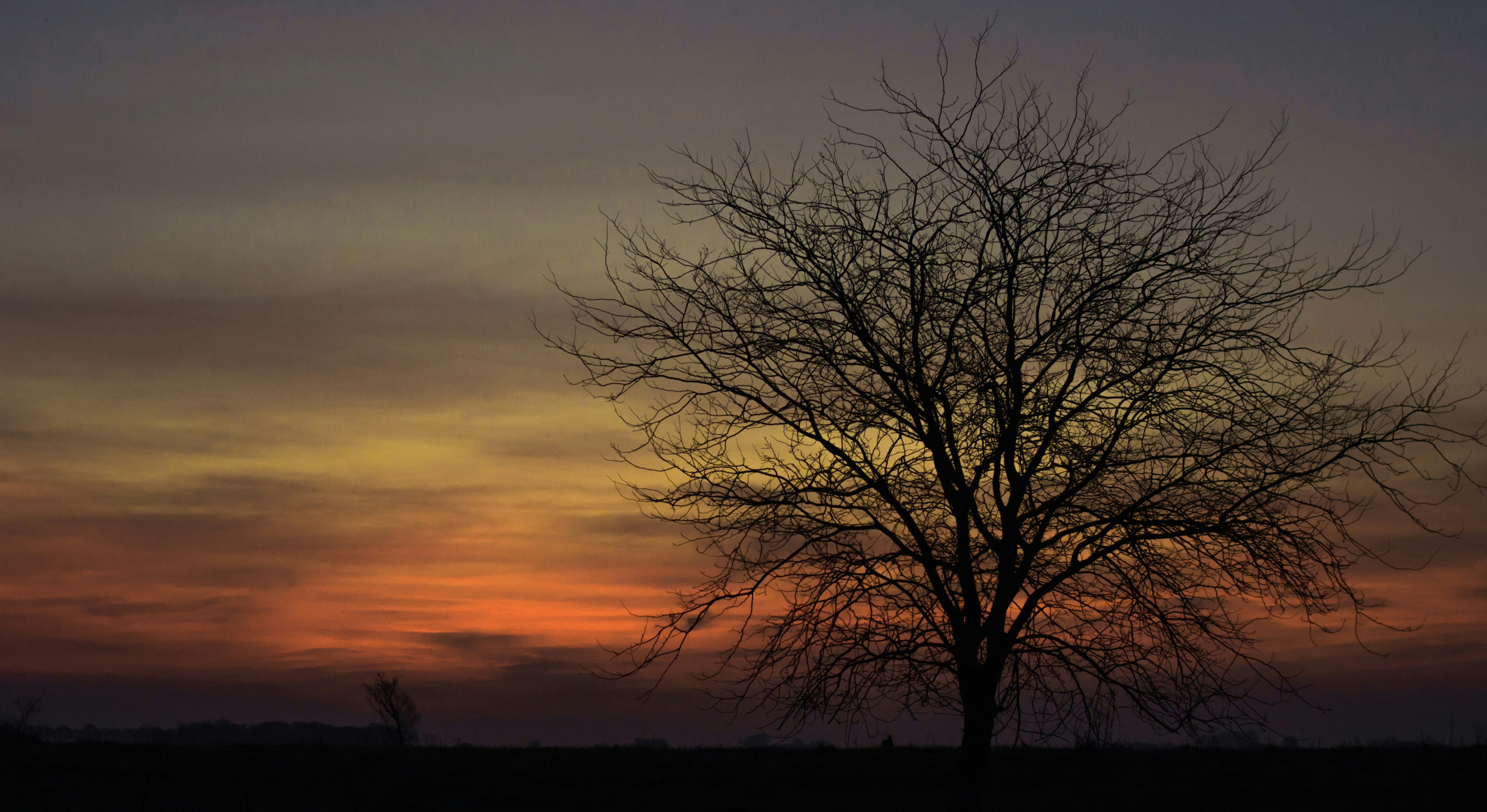 Photo by faustomarques