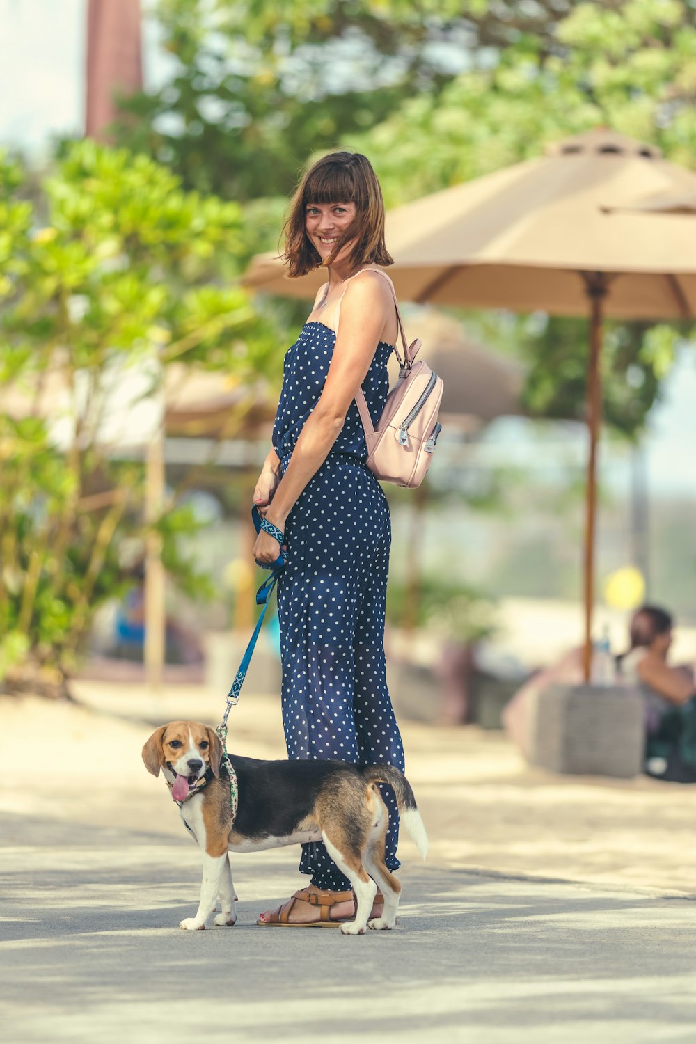 woman in black and white polka dot dress carrying brown and white short coated dog