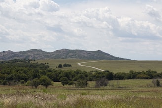 A serene landscape blending blue skies and green fields with a fleet of biofuel-powered vehicles moving smoothly along a winding road.