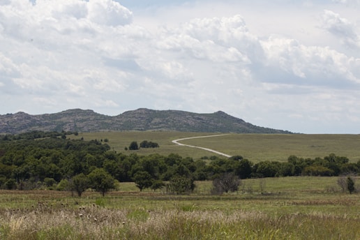 A serene landscape depicting a winding road through lush greenery.
