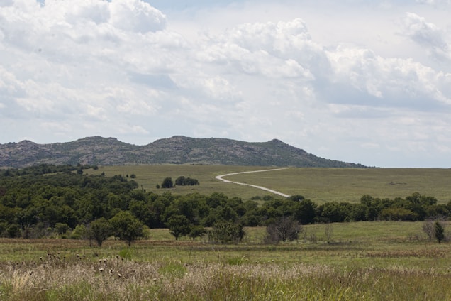A serene landscape blending blue skies and green fields with a fleet of biofuel-powered vehicles moving smoothly along a winding road.