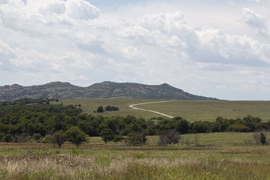 A serene landscape featuring a winding road that cuts through green fields and dense patches of trees. The backdrop consists of gentle hills under a sky filled with fluffy clouds.