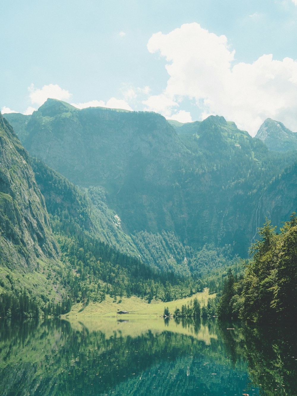 grüne Bäume und Berge unter weißen Wolken und blauem Himmel tagsüber