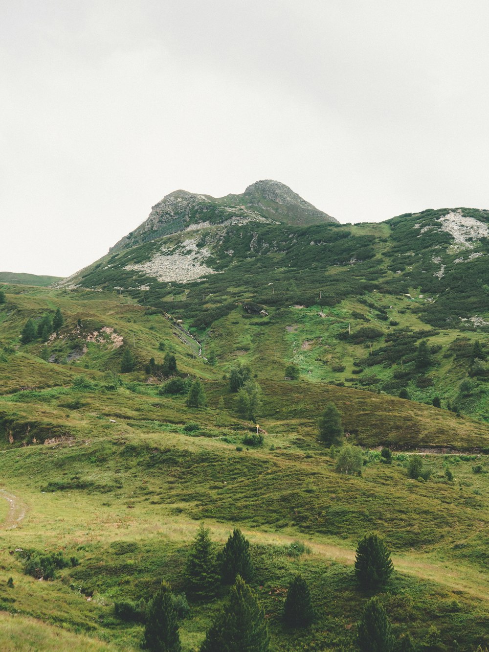 green grass field and mountain