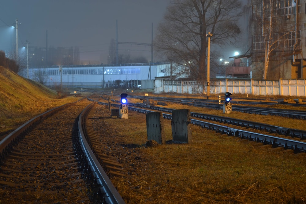 train rail near bare trees during daytime