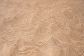 white textile with black hair