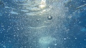 water bubbles in blue water