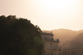 A residential building with balconies surrounded by misty mountains in the background and a large bush or tree in the foreground. The sunlight creates a warm glow, casting soft shadows.
